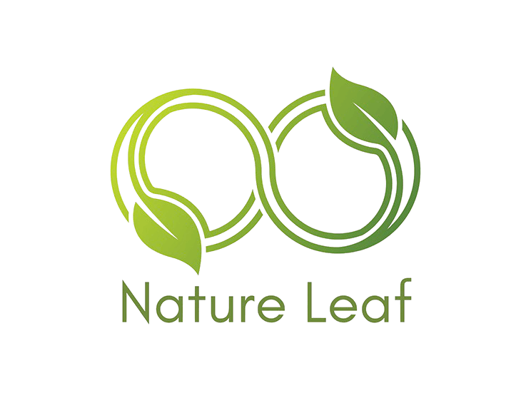 Green leaf logo isolated on a transparent background